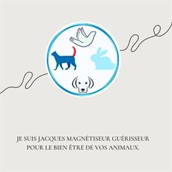 Jacques Magnétiseur Animaux, Rennes - Horaires d'ouverture