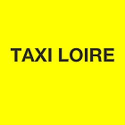 Taxi Loire Orleans conventionné Vsl, Orléans - Horaires d'ouverture