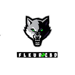FLEUR2CBD SHOP CBD DIGOIN, Digoin - Horaires d'ouverture