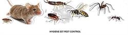 Hygiène Est Pest Control, Noisseville - Horaires d'ouverture