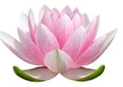 Yoga Avignon - Rasayana, - Horaires d'ouverture