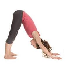 Yoga Pour Tous Teresa Ferreira, Cholet - Horaires d'ouverture