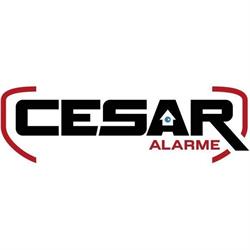 Cesar Alarme, Stattmatten - Horaires d'ouverture