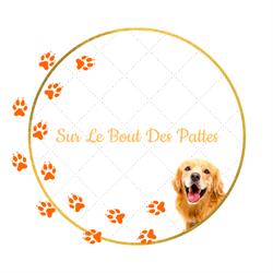 Sur le bout des pattes, La Marre - Horaires d'ouverture