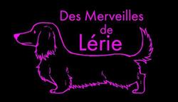 Des Merveilles de Lérie, Vence - Horaires d'ouverture