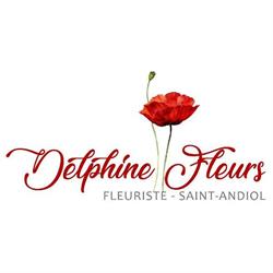 DELPHINE FLEURS, Saint-Andiol - Horaires d'ouverture