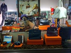 Antiquites de L'Ile St Louis, Saint-Ouen - Horaires d'ouverture