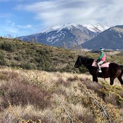 Cheval Loisirs Promenades, Font-Romeu-Odeillo-Via - Horaires d'ouverture