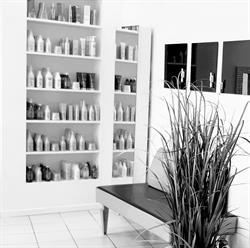 SG Coiffeur Fontaines sur Saône, Fontaines-sur-Saône - Horaires d'ouverture