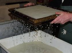 Moulin à Papier de Brousses et Villaret, Brousses-et-Villaret - Horaires d'ouverture