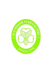 Olsthoorn Floriculture, Hyères - Horaires d'ouverture