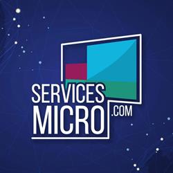 Services Micro - Infogérance informatique, La Fouillouse - Horaires d'ouverture