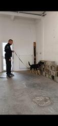 Centre canin D'cyno, Golfech - Horaires d'ouverture