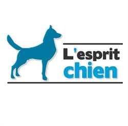 L'esprit chien, Andelnans - Horaires d'ouverture