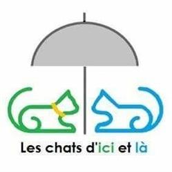 Leschatsdicietlaofficiel, Hautmont - Horaires d'ouverture
