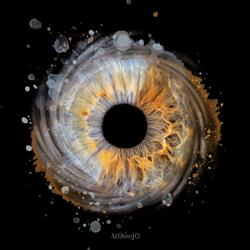 Atom?ojo - Photographie d'iris, Saint-Vincent-de-Tyrosse - Horaires d'ouverture