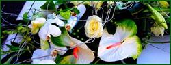 R'eve de fleurs, Saint-Laurent-du-Var - Horaires d'ouverture