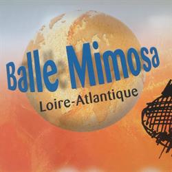 Balle Mimosa Loire-Atlantique, Nantes - Horaires d'ouverture