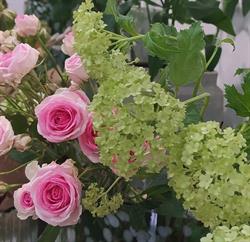 Couleurs Fleurs, Tinqueux - Horaires d'ouverture