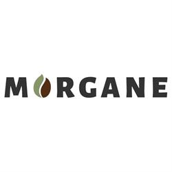 Morgane Café MHD, Bénesse-Maremne - Horaires d'ouverture