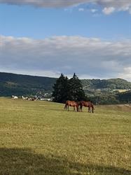 La Ferme des Malrois, Voray-sur-l'Ognon - Horaires d'ouverture