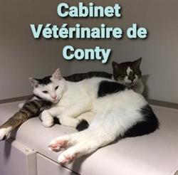 Cabinet Vétérinaire De Conty - Horaires d'ouverture