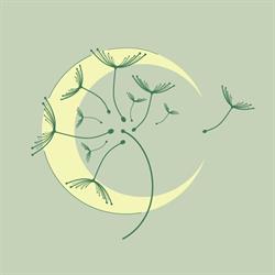 La Rootine - Manon Muylaert - Naturopathe, Berthen - Horaires d'ouverture