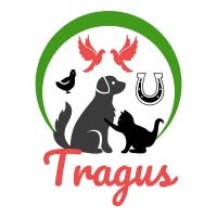 Fuchs Tragus, Morsbach - Horaires d'ouverture