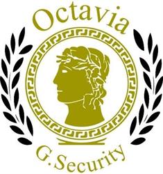 Octavia Groupe Security, Wingles - Horaires d'ouverture