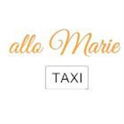 Allo Marie Taxi, Languidic - Horaires d'ouverture