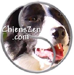 Chiens Zen, Lusignan - Horaires d'ouverture