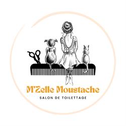 M'ZELLE MOUSTACHE, Étaules - Horaires d'ouverture