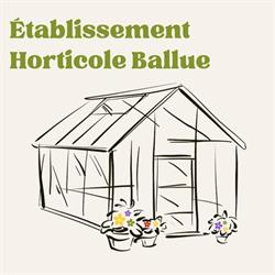 MONSIEUR BALLUE JEAN, Sainte-Austreberthe - Horaires d'ouverture