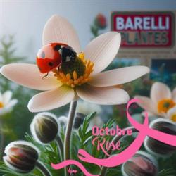 GAEC BARELLI PLANTES, Cagnes-sur-Mer - Horaires d'ouverture