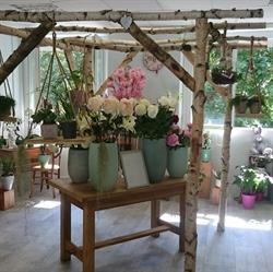 A Tout Fleurs, Millau - Horaires d'ouverture