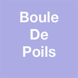 Boule De Poils, Landerneau - Horaires d'ouverture