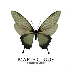 Marie Cloos Photographie, Marseille - Horaires d'ouverture