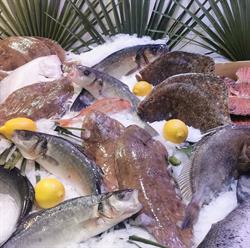 Poissonnerie Marius, Antibes - Horaires d'ouverture