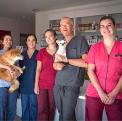 Clinique Vétérinaire St Hubert, Lattes - Horaires d'ouverture