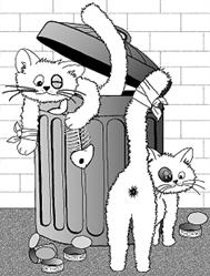 Association les Chats libres de béziers, Béziers - Horaires d'ouverture