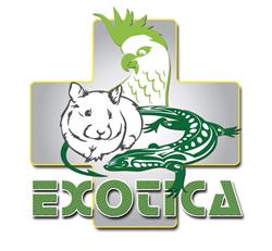 EXOTICA Vétérinaires, Le Haillan - Horaires d'ouverture