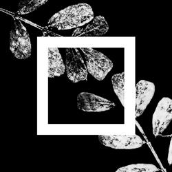 Chris Garden Services, Grasse - Horaires d'ouverture
