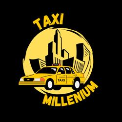 Millenium Taxi, Lyon - Horaires d'ouverture