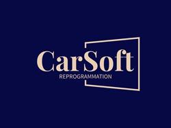 Car Soft Lyon, Craponne - Horaires d'ouverture