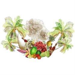 TI BEC FIN gourmandises-créoles, Le Mené - Horaires d'ouverture