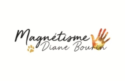 Magnétiseur animaux Fougères / Rennes - Diane Bourin, Saint-Ouen-des-Alleux - Horaires d'ouverture