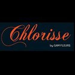 Chlorisse Gam Fleurs SARL, Léognan - Horaires d'ouverture
