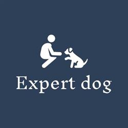 Expert Dog, Paris - Horaires d'ouverture