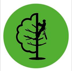 Baum élagage, Entrammes - Horaires d'ouverture