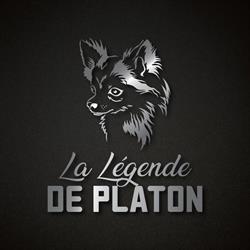 La Légende de Platon – Élevage de Chihuahuas à poil long & Pomskys miniatures en Bretagne (Plaudren), - Horaires d'ouverture